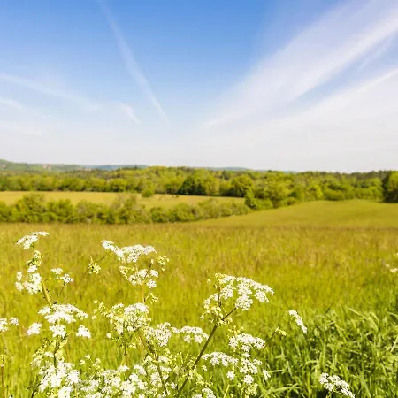 Beautiful Near The Forest